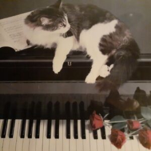 Profile photo of Kathy Spencer